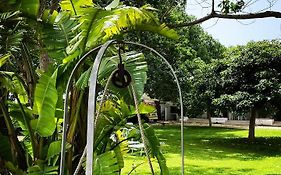 La Casa Bianca