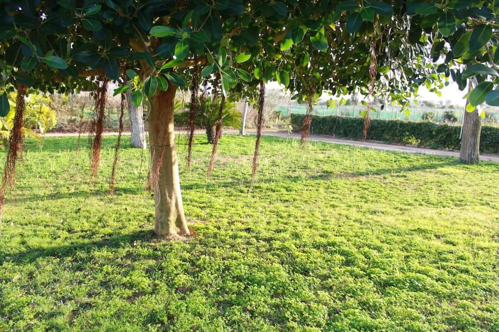 Appartamento La Casa Bianca Marsala Esterno foto