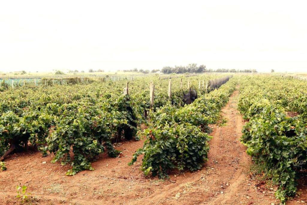 Appartamento La Casa Bianca Marsala Esterno foto
